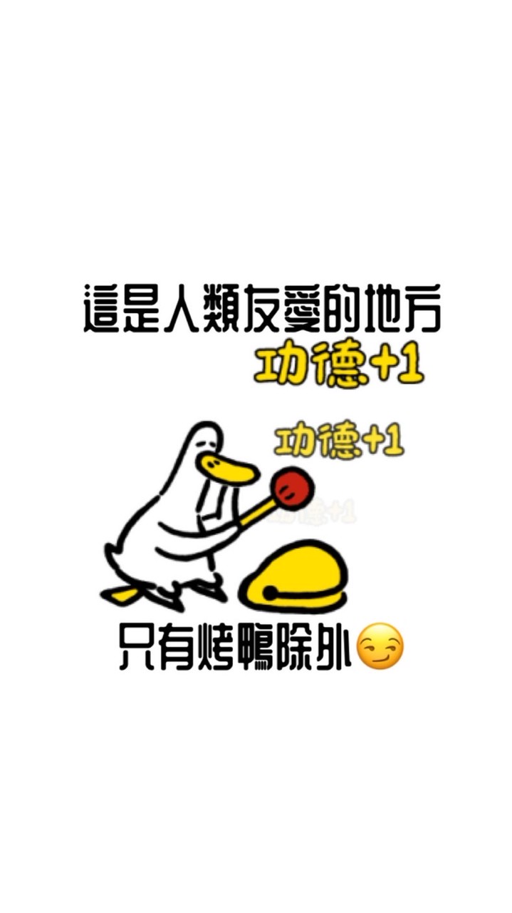 石器16友愛群