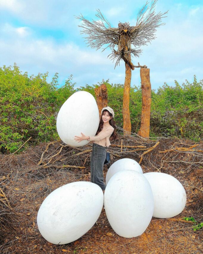 花露農場 苗栗卓蘭｜花露農場 ｜繡球花正盛開│全台首座精油博物館，沉浸在四季繽紛花海 享受午茶時光 2 2023