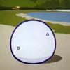 ポーランドボールファンクラブ