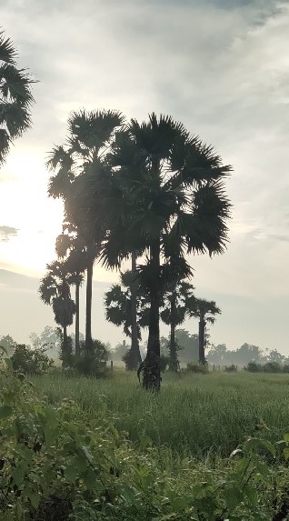 จักรยานเพื่อสุขภาพ กุมภวาปี อุดรธานี