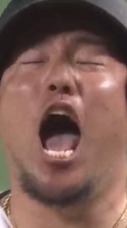 福岡ソフトバンクホークス応援