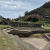 1紫薇養生