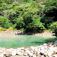 自然生活交流/自然歷史工作坊