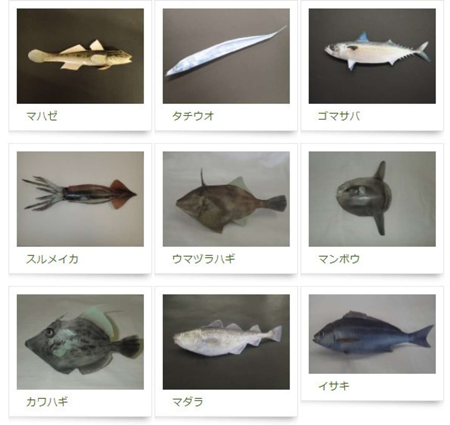 GWのおうち時間に「おさかなペーパークラフト」はいかが