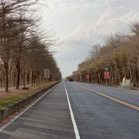 人類真相書友交易社群
