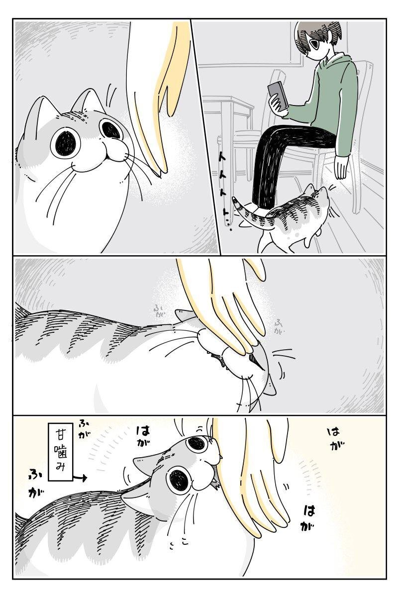 本気じゃないの知ってるよ 愛猫からの 甘噛み攻撃 はかまってアピール 猫あるある漫画にホッコリ