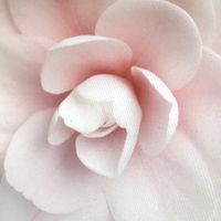 臺北第一小學