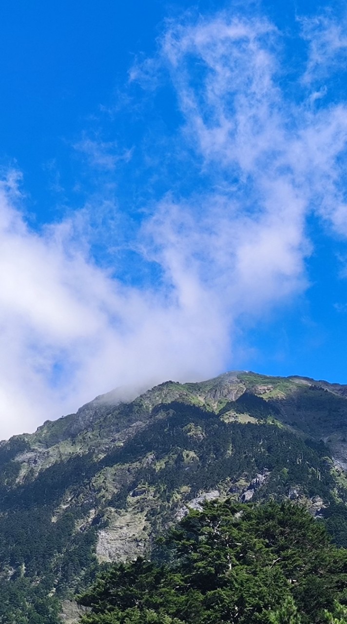 ☘️嚮往山林山岳自組🍀