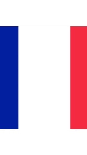 立教 フランス文学専修 一年ズ
