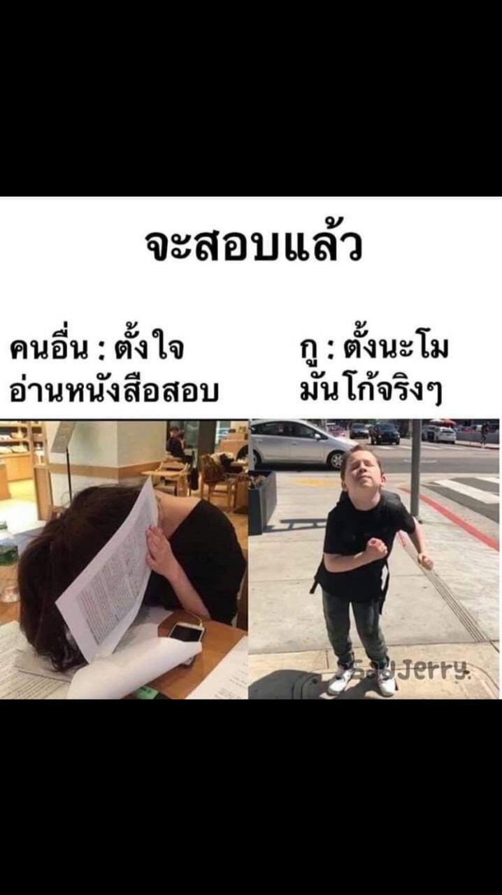 วัยรุ่นเจนZประทะแก๊งค์ไทไรโนซอรัส