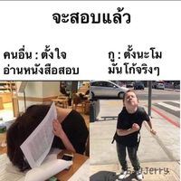 วัยรุ่นเจนZประทะแก๊งค์ไทไรโนซอรัส