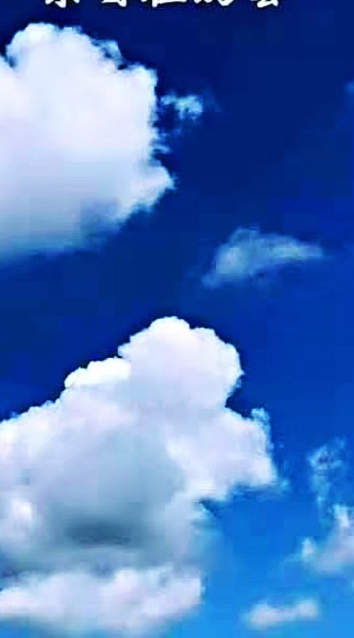 浙江同鄉會秋遊