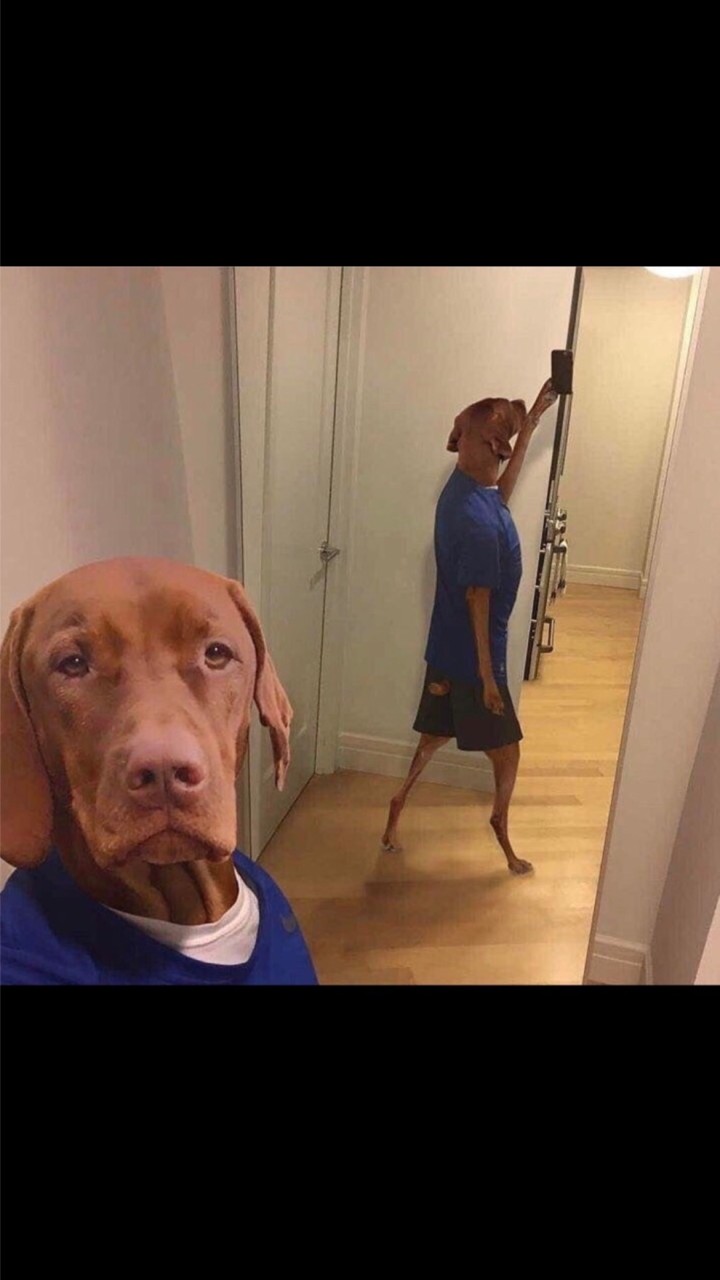 狗莊VIP禁言群🔇