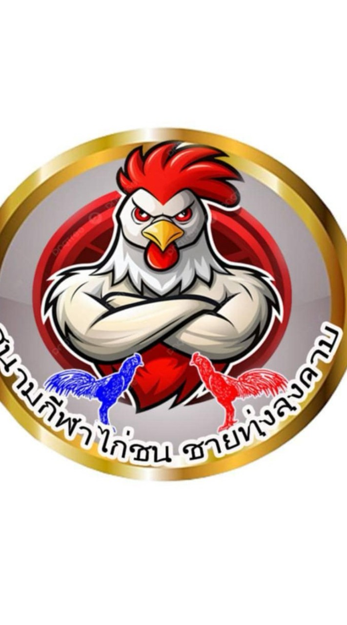 ประกบไก่สนามไก่ชนชายทุ่งลุงดาบแม่ริม