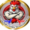 ประกบไก่สนามไก่ชนชายทุ่งลุงดาบแม่ริม