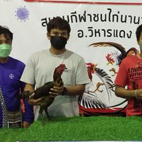 ซุ้มป.ตระกลูเงิน