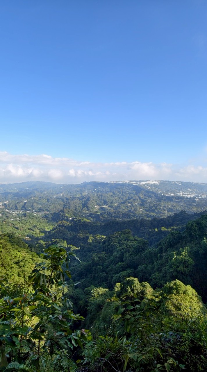 大台中自助快樂登山團