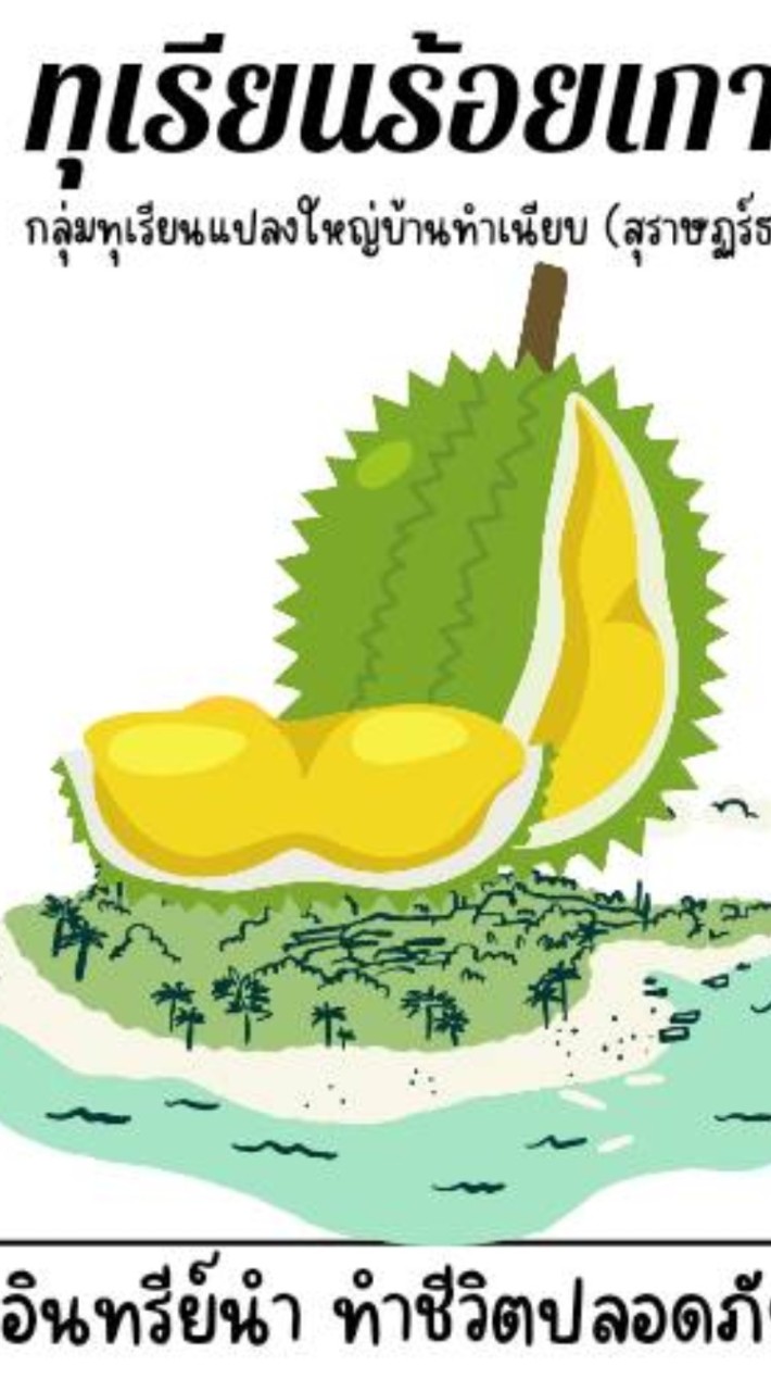 ทุเรียน/ร้อยเกาะ
