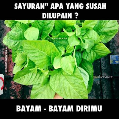 Tebak Lucu 10 Sayur-Sayuran