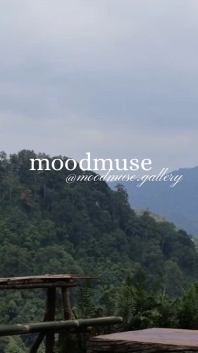 moodmuse.gallery