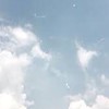 みんなで荒らしの情報を交換しよう‼︎
