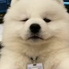 菠菜幣圈の討論外包發案接案徵才