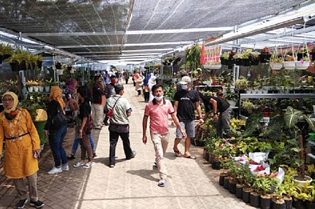 Tempat Beli Tanaman Hias Di Jabodetabek Catat Parents Theasianparent Line Today