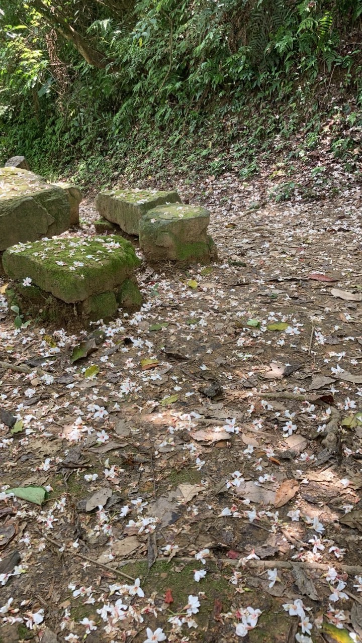 公躺地上你躺公