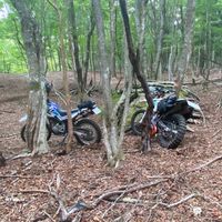 大分県南林道部