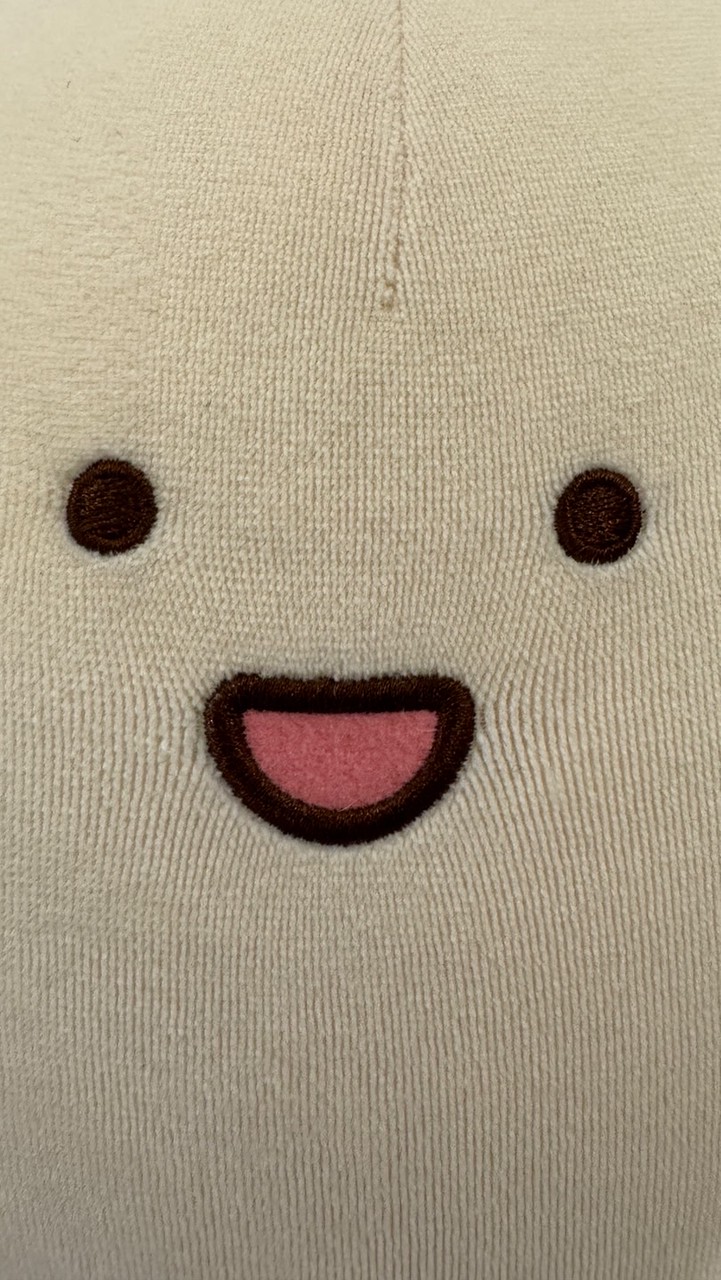 頑皮世界