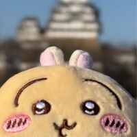 9咪玩具上架/特價通知（吉伊卡哇、寶可夢、…）