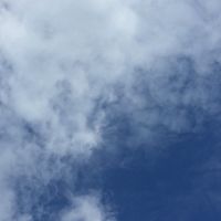 移民出國互助資訊討論