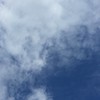 移民出國互助資訊討論