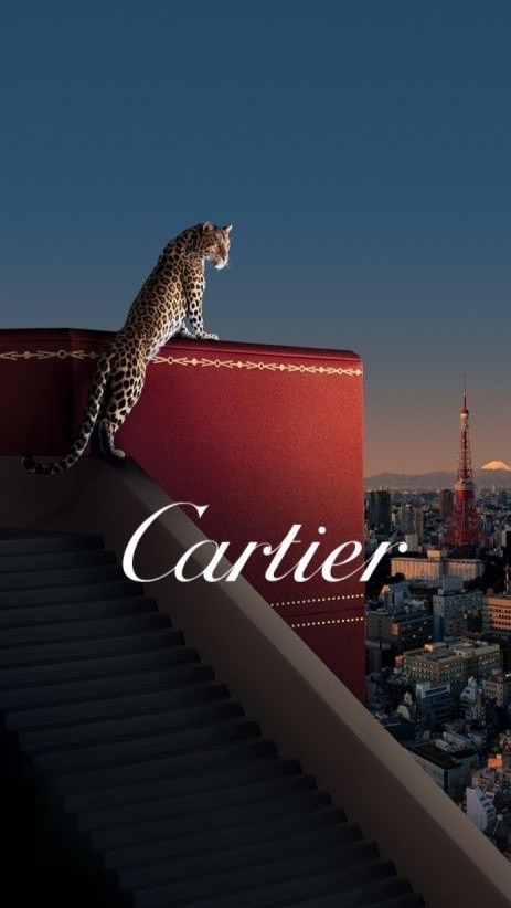 Cartier Watch Lover🐆