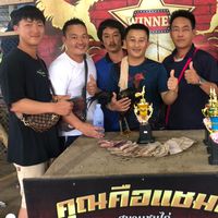 พม่าหลังเขา 🐲