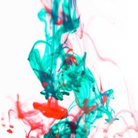 會員秘密の後花園