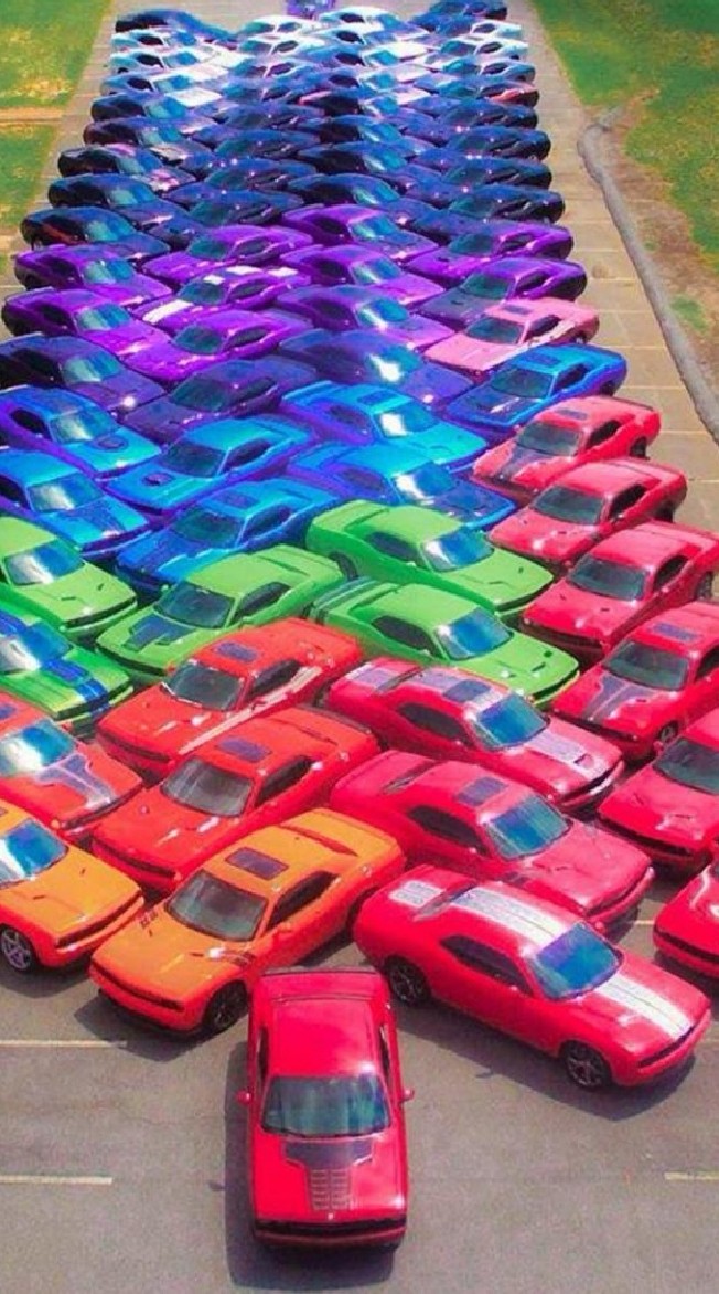 society of dodge challenger fans