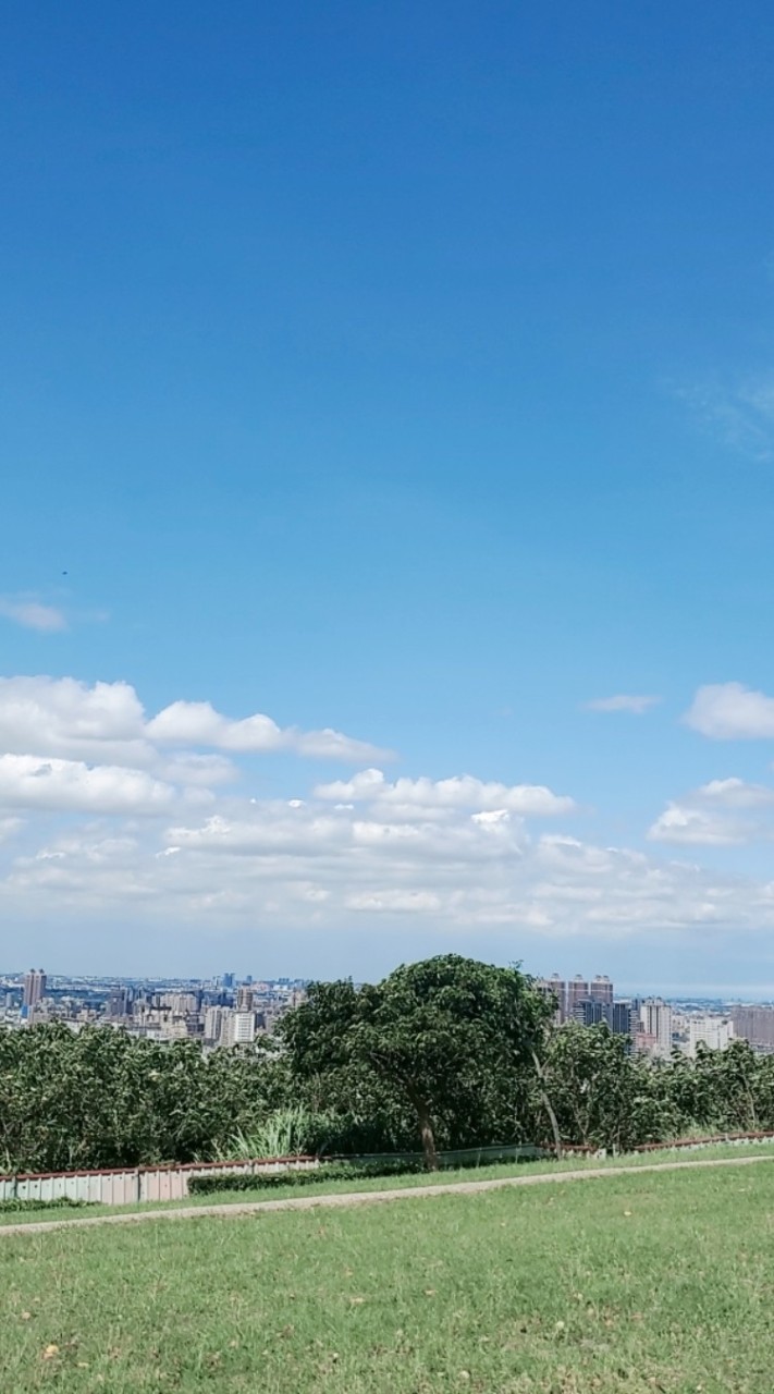 30歲+ 專屬不正常人類pipi醬 上班閒來無事 講幹話 不歡迎潛水員