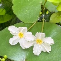 話そ٩( ᐛ )و  たのしかった事　くやしかった事　かなしかった事　はらがたった事　いろいろな事