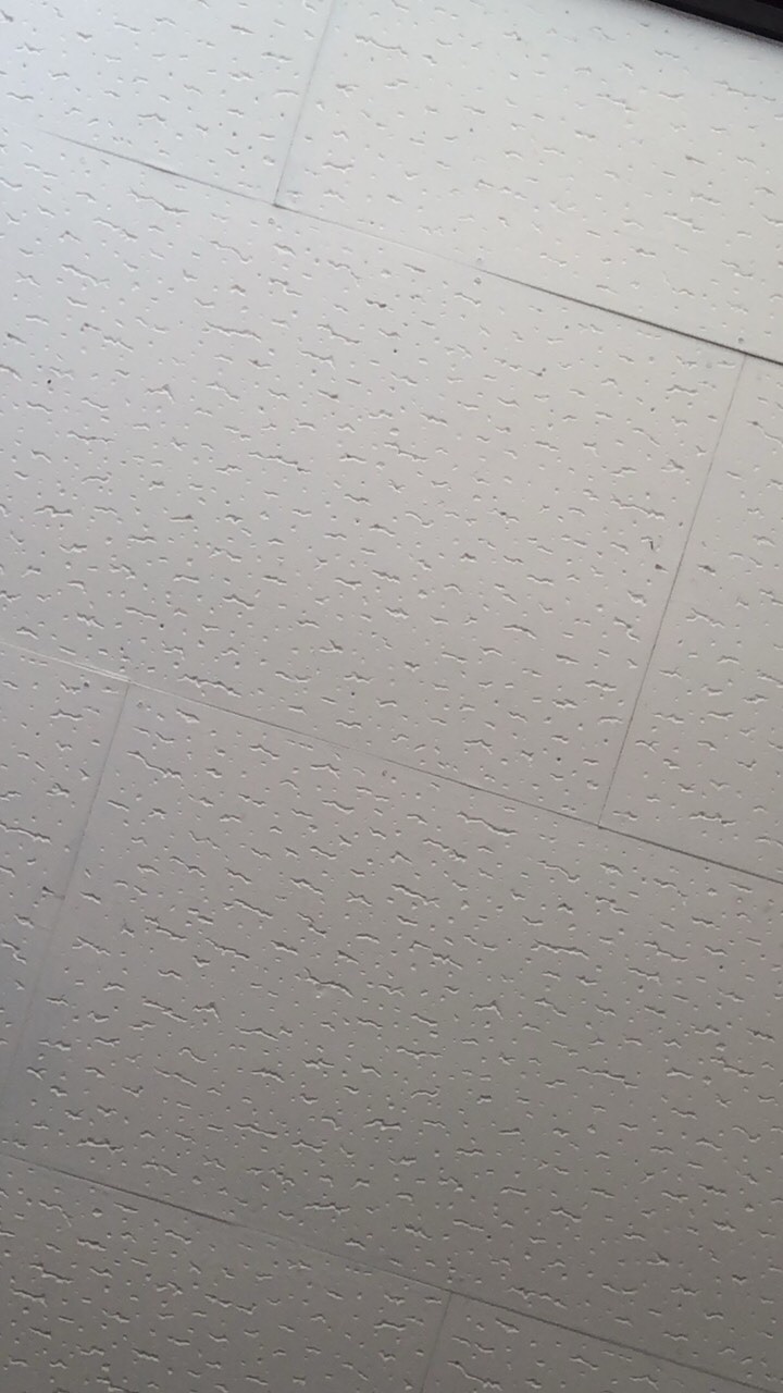 シンセ自慢
