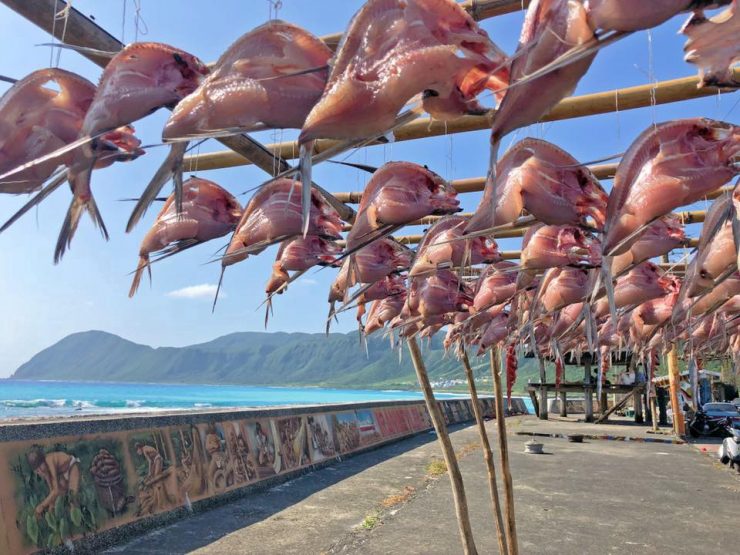 蘭嶼飛魚季