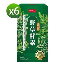 ◎百種野草精華+專利乳酸菌|◎全面凝縮 有感順暢|◎均衡健康 調整體質商品名稱:Wellpeak野草酵素品牌:Wellpeak類型:窈窕美形食品類型:軟膠囊/膠囊全素:主成分:乳酸菌,酵素商品成分:詳