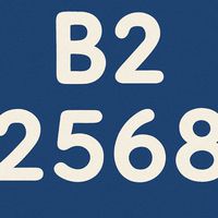 B2-MUGE100-2568