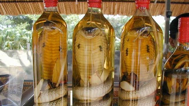 Wine Ular hingga Laba-laba Goreng, 6 Kuliner Ekstrem Ini Selain Bikin Perut Mulas, juga Merinding