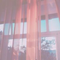 「 𝗥𝗣 」𝗔𝗻𝗶𝗺𝗲 - ⚘