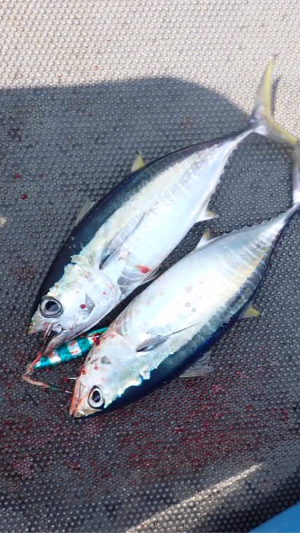 親子愛釣魚