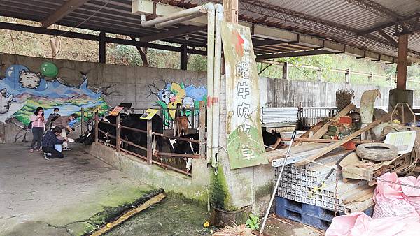 【彰化景點】大山休閒牧場-免門票費免停車費，還有其它餵牛喝奶、吃草等超多好玩的親子農場