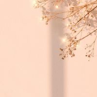 ทรัพย์ไพบูลย์ ปลาสวยงาม