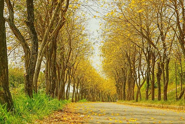 圖片來源：IG @ maruko0013