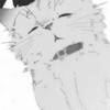 ♡最適合愛發瘋的人♡ ₍^. .^₎⟆